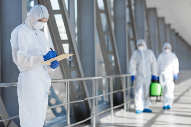 Best Black Mold Removal  in White Marsh, MD