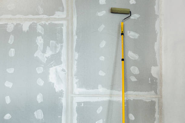 Best Emergency Mold Remediation  in White Marsh, MD