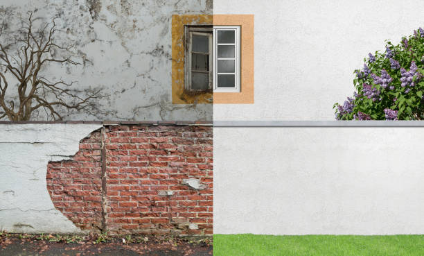 Best Post-Construction Mold Inspection  in White Marsh, MD